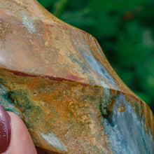 Load image into Gallery viewer, Polychrome Jasper Flame - C