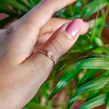 Load image into Gallery viewer, 14ct GF Rose Quartz Ring
