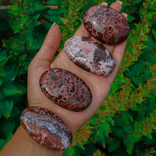 Load image into Gallery viewer, Red Ocean Jasper Palmstones
