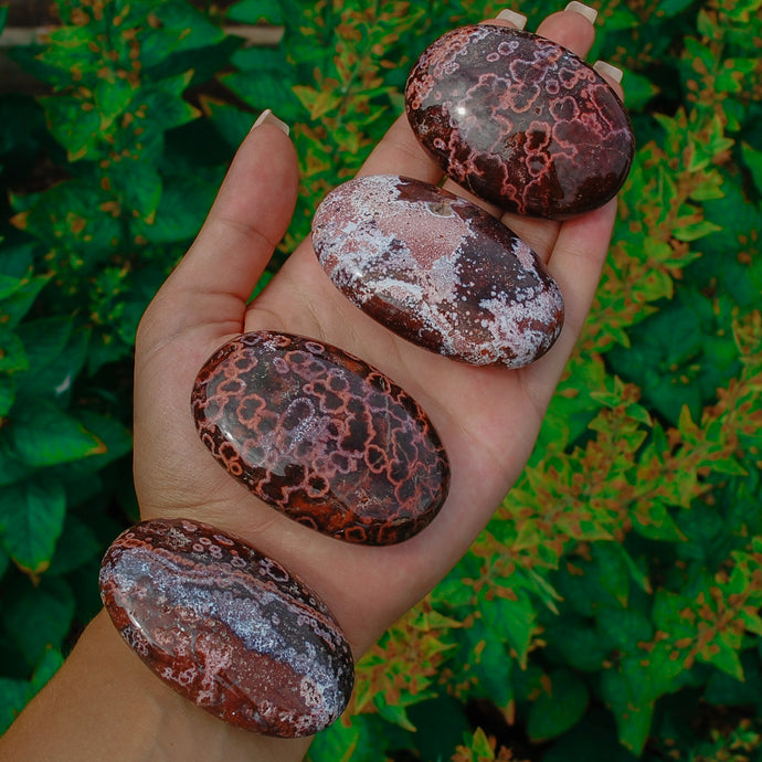 Red Ocean Jasper Palmstones