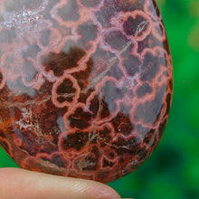 Load image into Gallery viewer, Red Ocean Jasper Palmstones
